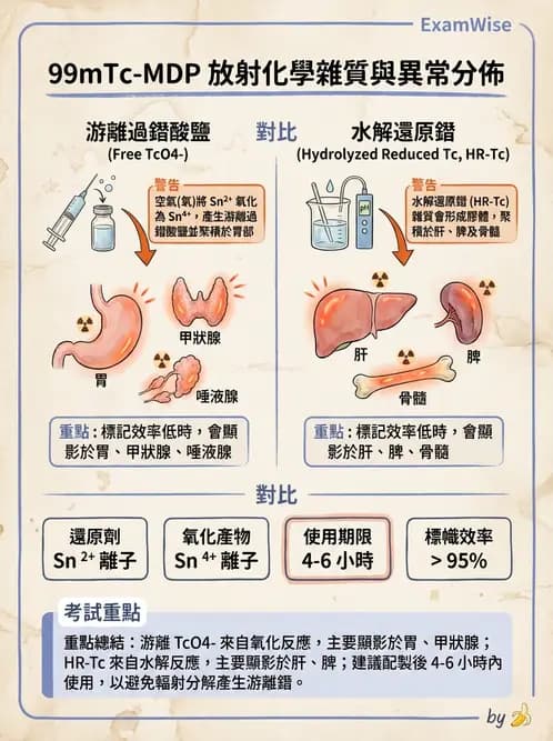 放射 - 骨骼與發炎造影SPECT藥物 - AI 圖文解析預覽