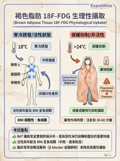 放射 - FDG PET造影 - AI 圖文解析預覽