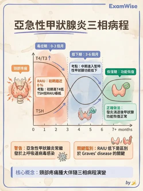 放射 - 甲狀腺造影 - AI 圖文解析預覽