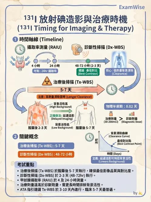 放射 - 腫瘤治療 - AI 圖文解析預覽