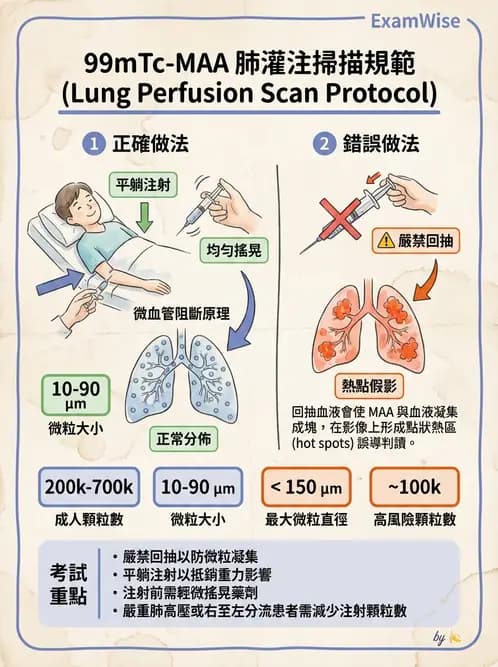 放射 - 肺部與感染造影 - AI 圖文解析預覽