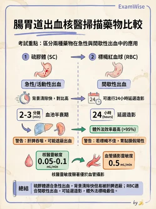 放射 - 消化道造影 - AI 圖文解析預覽