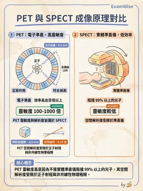 放射 - PET造影原理與重組 - AI 圖文解析預覽