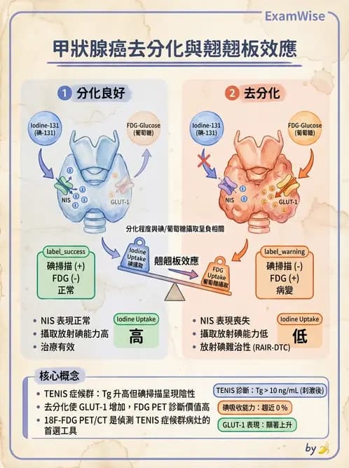 放射 - 腫瘤治療 - AI 圖文解析預覽