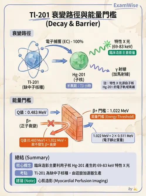 放射 - 蛻變類型與計算 - AI 圖文解析預覽