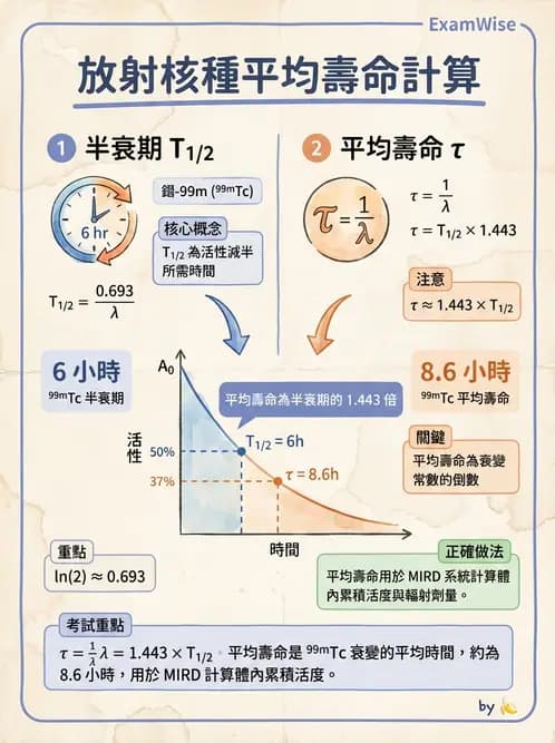 放射 - 蛻變類型與計算 - AI 圖文解析預覽
