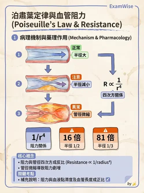 放射 - 心血管生理 - AI 圖文解析預覽