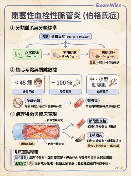 放射 - 心臟及血管疾病 - AI 圖文解析預覽