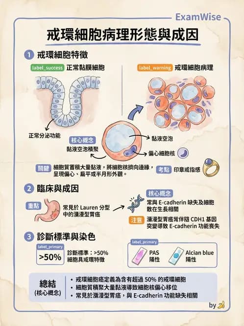 放射 - 口腔及腸胃道疾病 - AI 圖文解析預覽