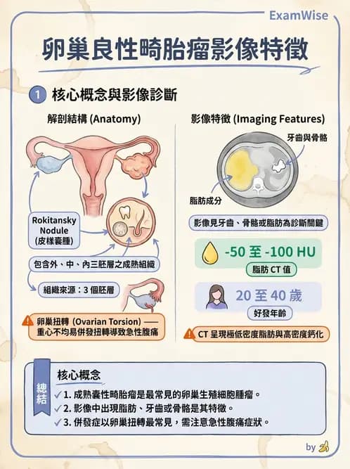 放射 - 生殖系統及乳房疾病 - AI 圖文解析預覽