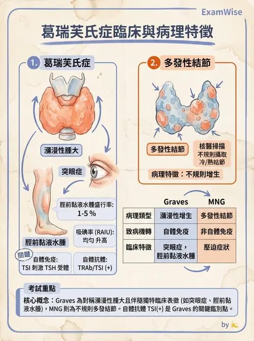 放射 - 內分泌系統疾病 - AI 圖文解析預覽