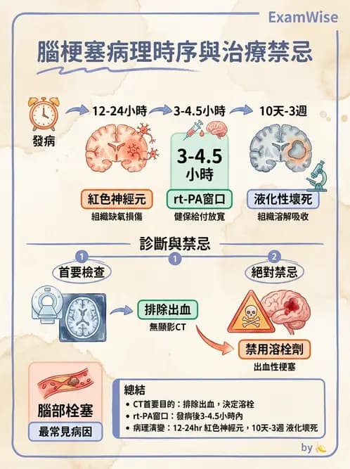 放射 - 神經系統疾病 - AI 圖文解析預覽