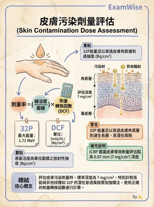 放射 - 體外劑量 - AI 圖文解析預覽