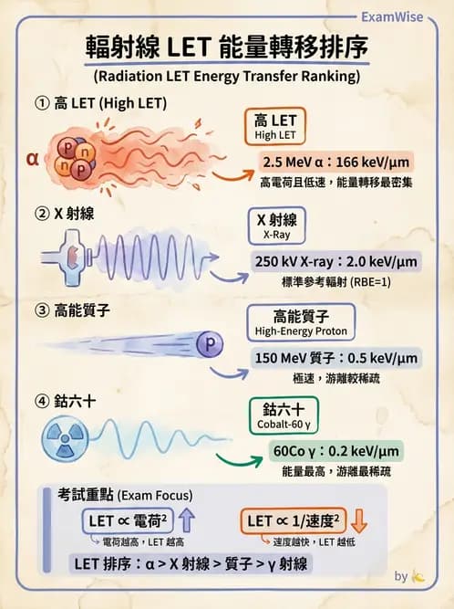 放射 - 輻射物理生物基礎 - AI 圖文解析預覽