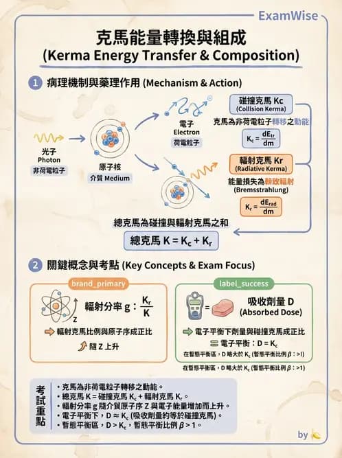 放射 - 劑量物理量與單位 - AI 圖文解析預覽