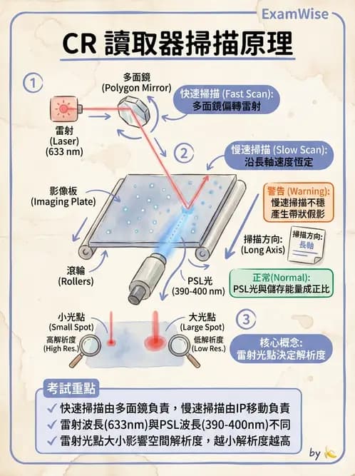 放射 - 透視與數位影像 - AI 圖文解析預覽