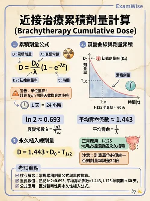 放射 - 特殊治療技術 - AI 圖文解析預覽