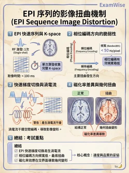 放射 - 空間編碼與影像品質 - AI 圖文解析預覽