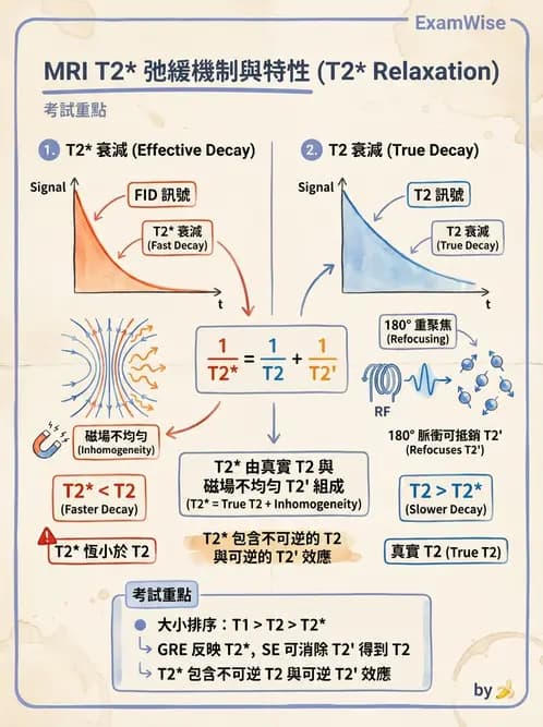 放射 - MRI基本物理與弛緩 - AI 圖文解析預覽