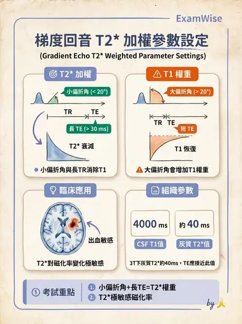 放射 - 脈衝序列與影像對比 - AI 圖文解析預覽