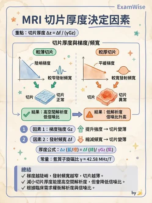 放射 - 空間編碼與影像品質 - AI 圖文解析預覽