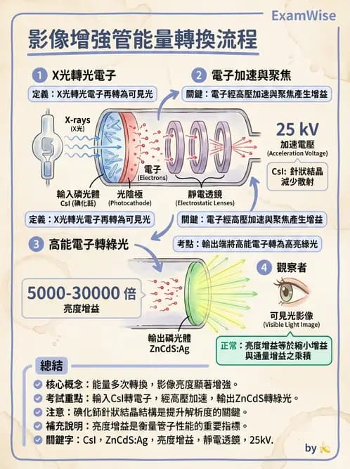 放射 - 血管攝影與透視攝影裝置 - AI 圖文解析預覽