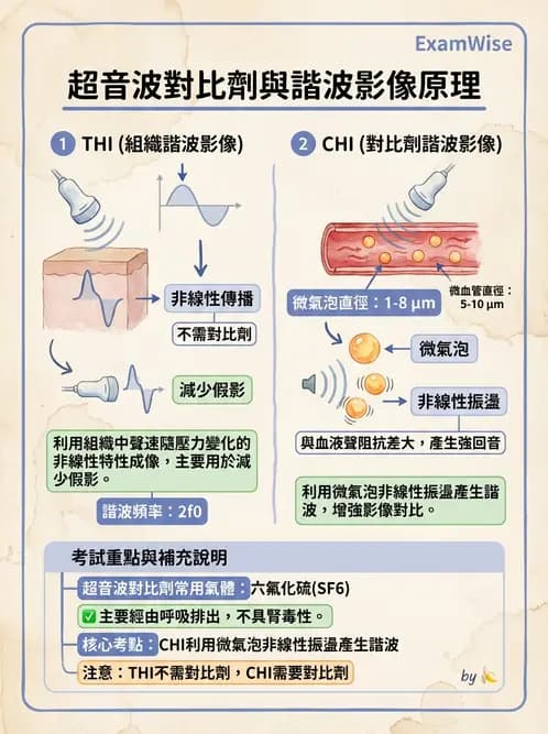 放射 - 超音波進階成像與假影 - AI 圖文解析預覽