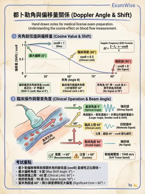 放射 - 都普勒超音波 - AI 圖文解析預覽