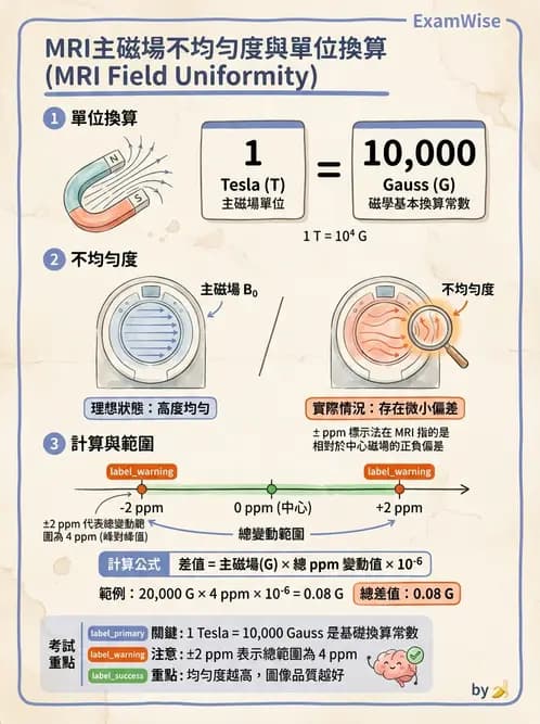 放射 - 主磁場、磁鐵類型與勻場 - AI 圖文解析預覽
