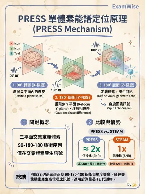 放射 - 梯度線圈與空間編碼 - AI 圖文解析預覽