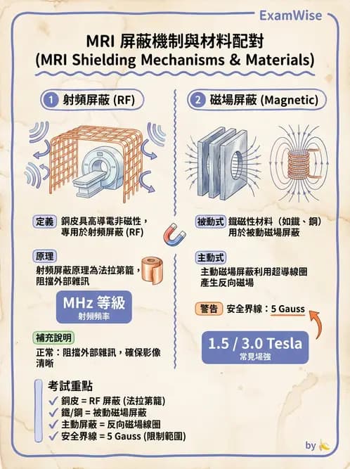 放射 - 磁場與射頻屏蔽 - AI 圖文解析預覽