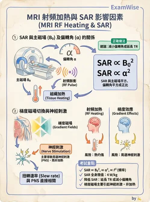 放射 - 品質管制與安全規範 - AI 圖文解析預覽
