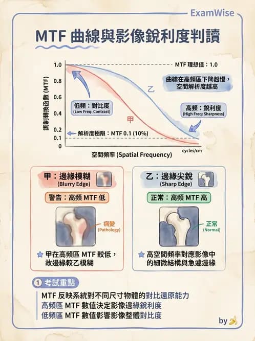 平面影像 - 影像儀器設備 - AI 圖文解析預覽