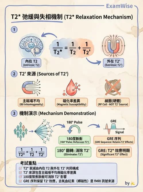 放射 - 磁振造影原理 - AI 圖文解析預覽