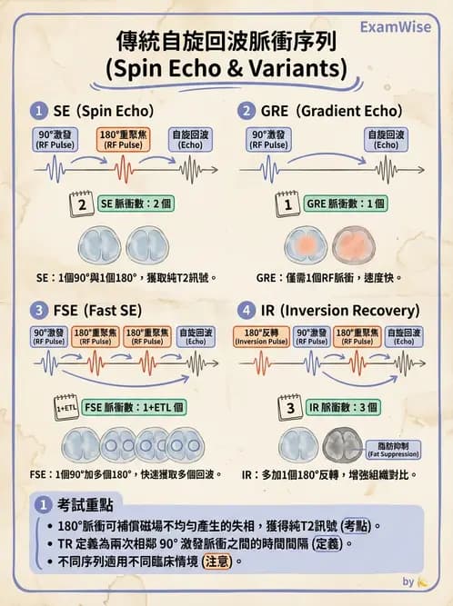 放射 - MRI脈衝序列與訊號技術 - AI 圖文解析預覽