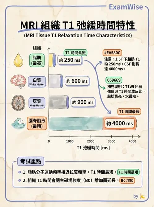 放射 - 磁振造影原理 - AI 圖文解析預覽