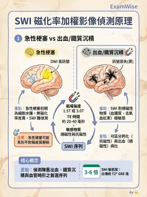 放射 - MR進階影像與臨床應用 - AI 圖文解析預覽