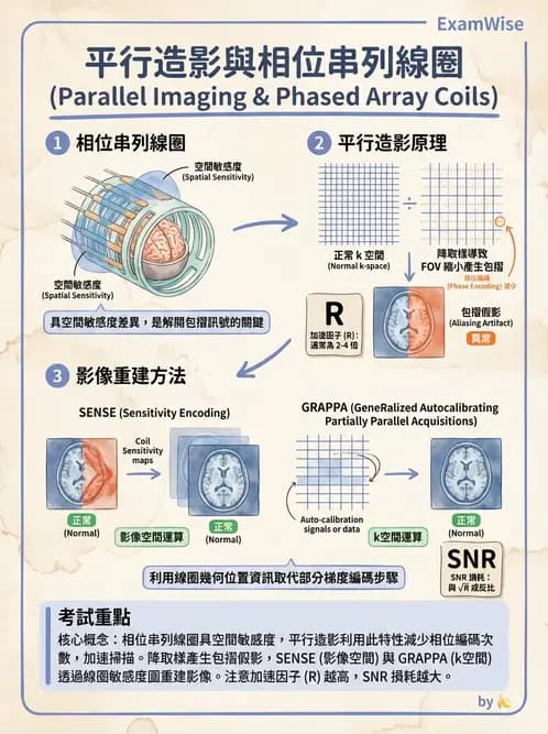 放射 - MRI系統硬體 - AI 圖文解析預覽