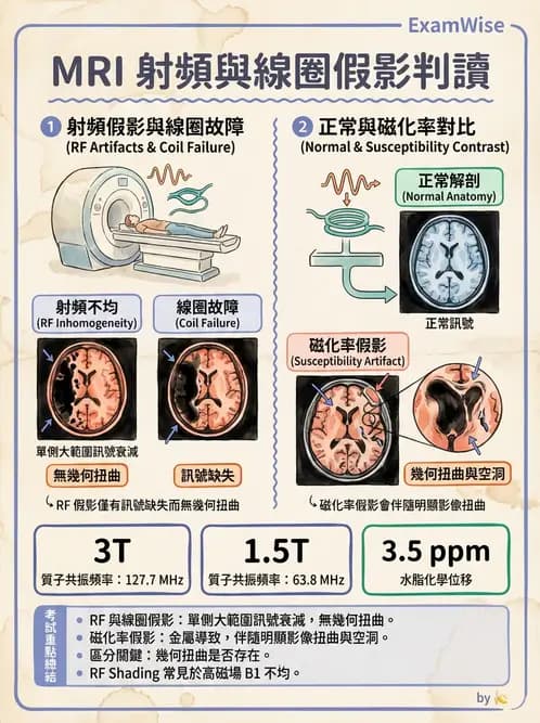 放射 - 磁振影像品質與參數 - AI 圖文解析預覽