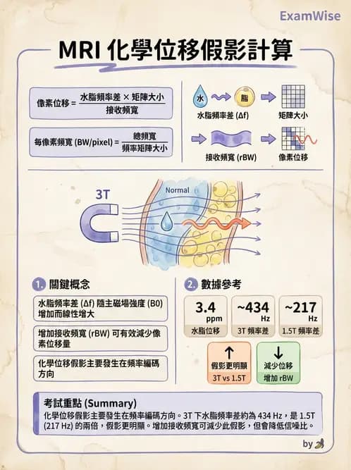放射 - 磁振影像品質與參數 - AI 圖文解析預覽