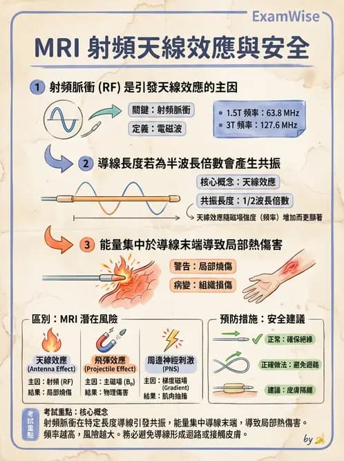放射 - MRI安全與顯影劑 - AI 圖文解析預覽