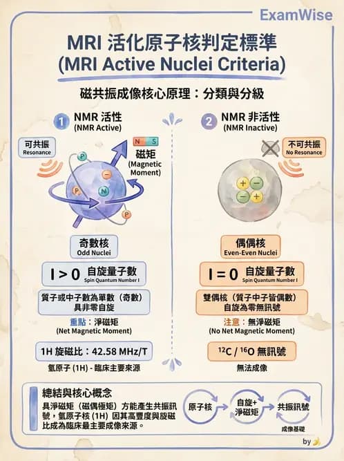 放射 - 磁振造影原理 - AI 圖文解析預覽
