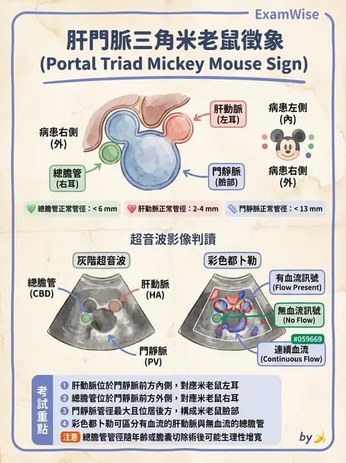 放射 - 膽胰脾超音波 - AI 圖文解析預覽