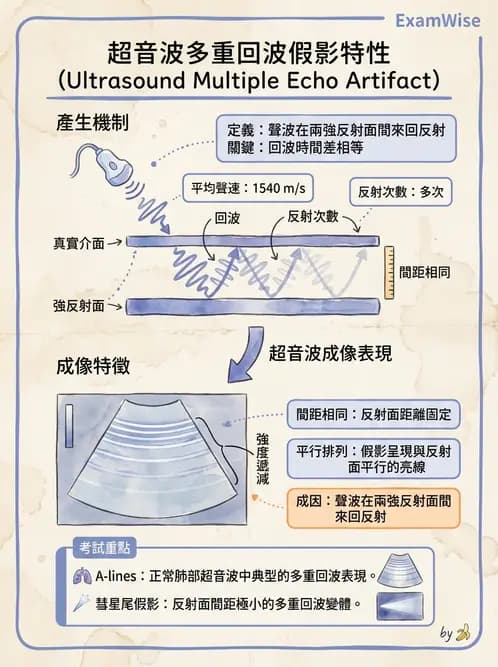 放射 - 超音波物理與技術 - AI 圖文解析預覽