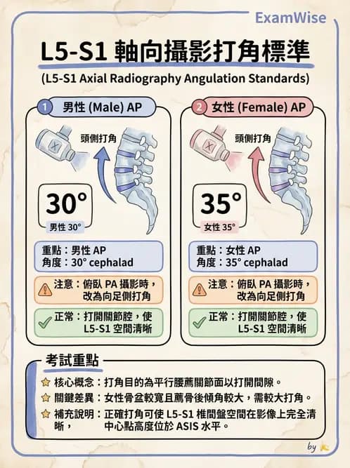 放射 - 頭頸脊椎攝影技術 - AI 圖文解析預覽