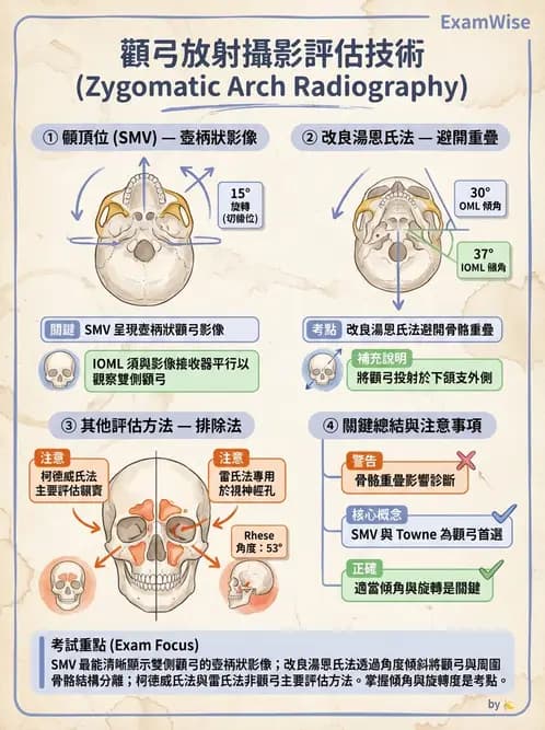 放射 - 頭頸脊椎攝影技術 - AI 圖文解析預覽