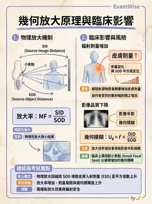 放射 - 血管攝影原理與解剖 - AI 圖文解析預覽