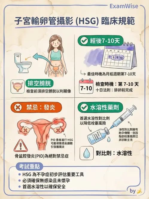 放射 - 泌尿生殖攝影 - AI 圖文解析預覽