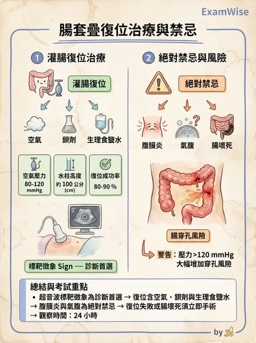 放射 - 消化道造影 - AI 圖文解析預覽