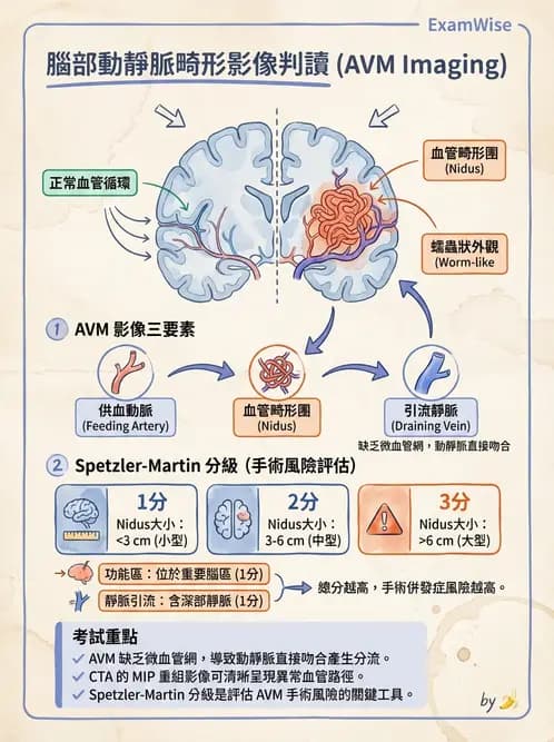 放射 - 頭頸部CT診斷 - AI 圖文解析預覽